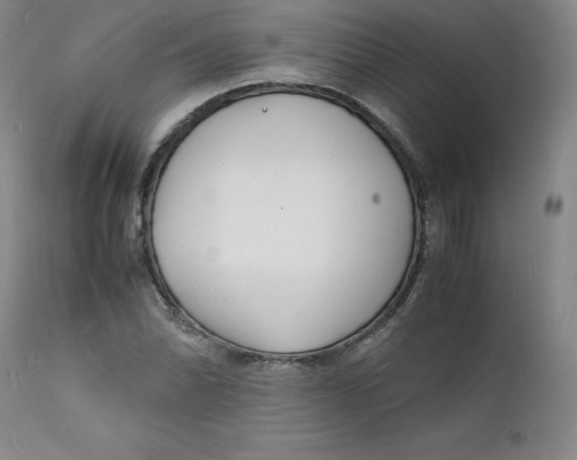 X0000112151070200909041058