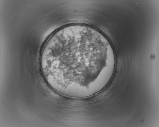 X0000112151071200909041058