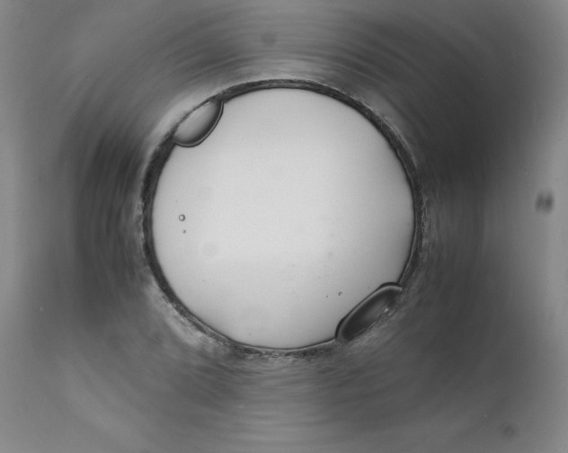 X0000112151072200909041058