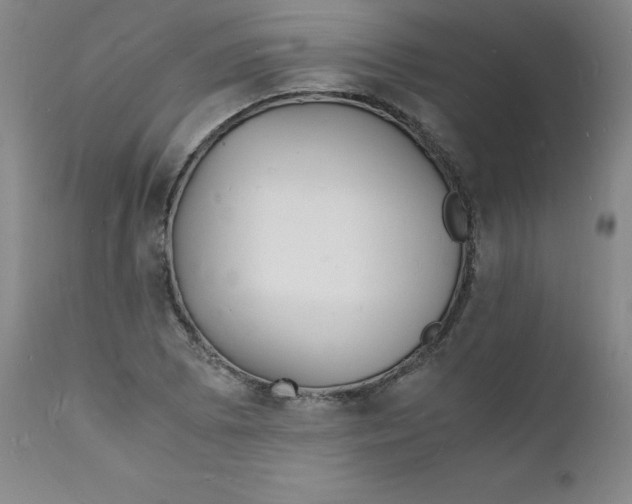 X0000112151073200909041058