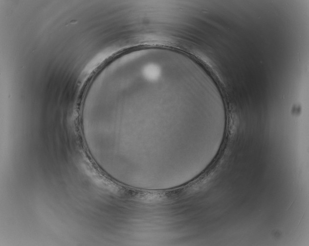 X0000112151074200909041057