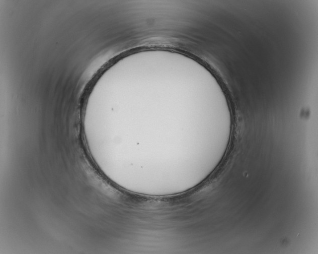 X0000112151075200909041057