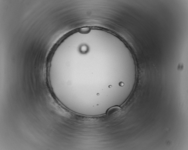 X0000112151076200909041057