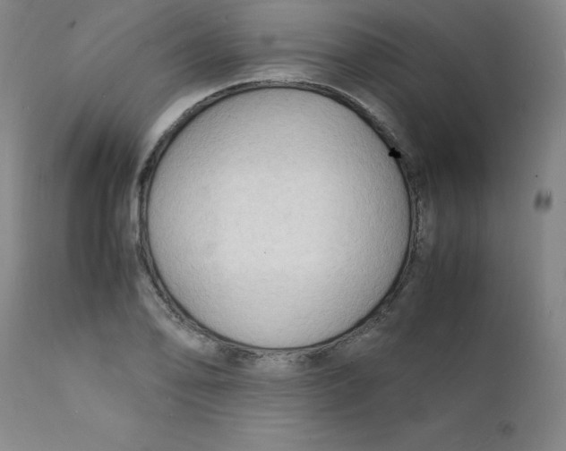 X0000112151078200909041057