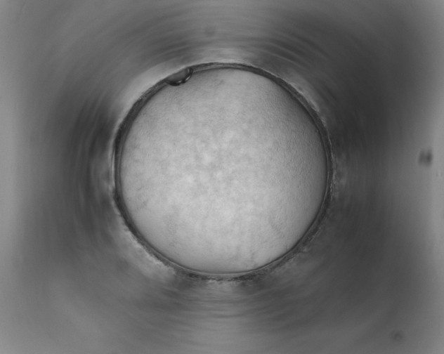 X0000112151080200909041057