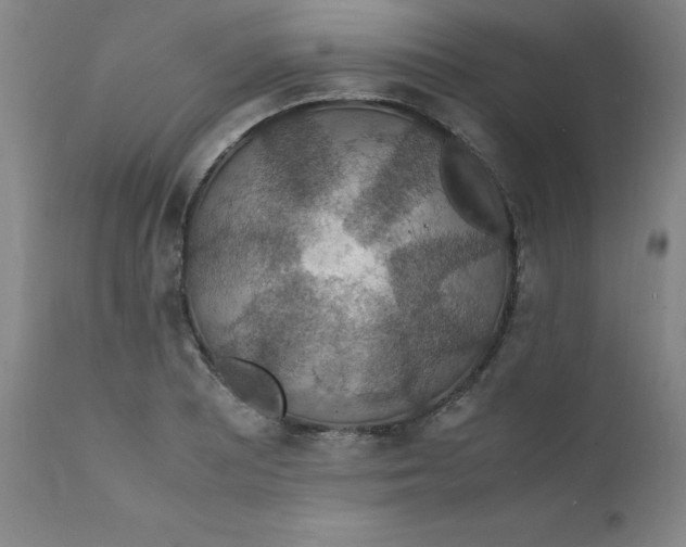 X0000112151081200909041057