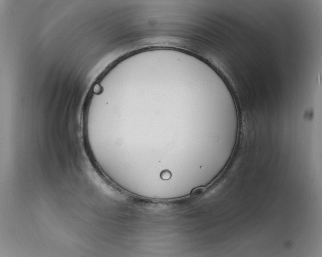 X0000112151082200909041057