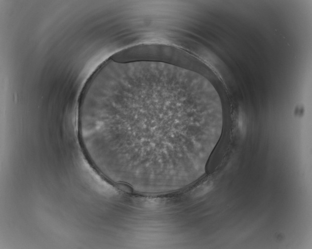 X0000112151084200909041057