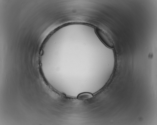 X0000112151085200909041057