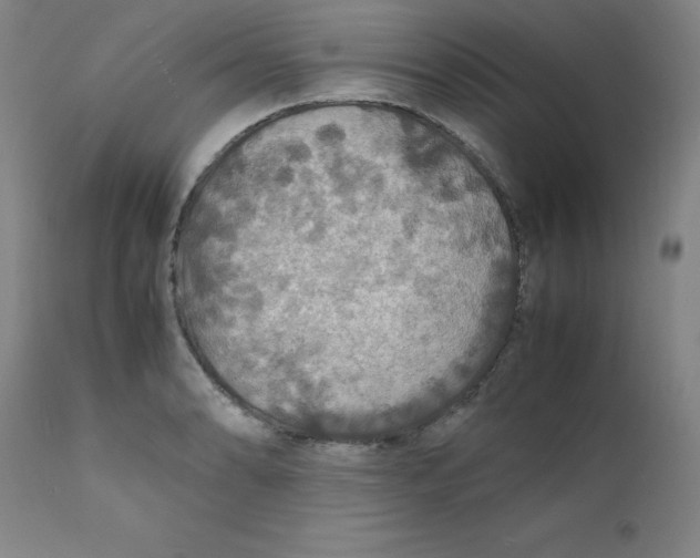 X0000112151086200909041057