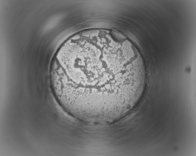 X0000112151087200909041057