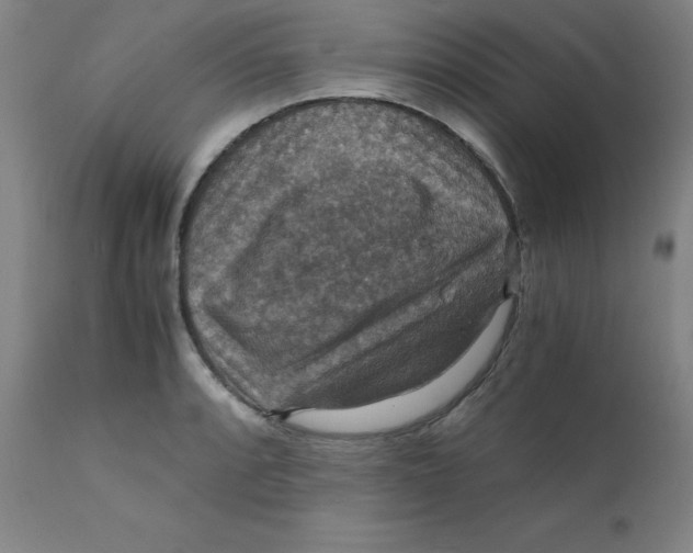 X0000112151088200909041057