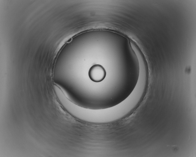 X0000112151089200909041057