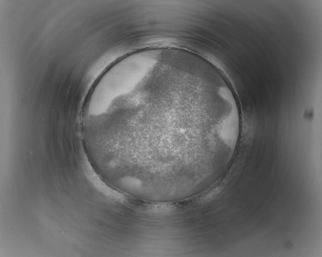 X0000112151090200909041057