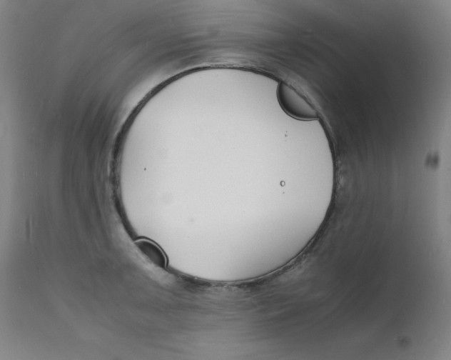 X0000112151091200909041057