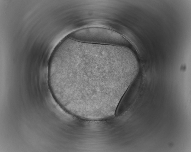 X0000112151092200909041057