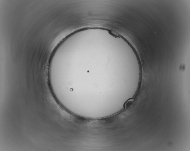 X0000112151093200909041057