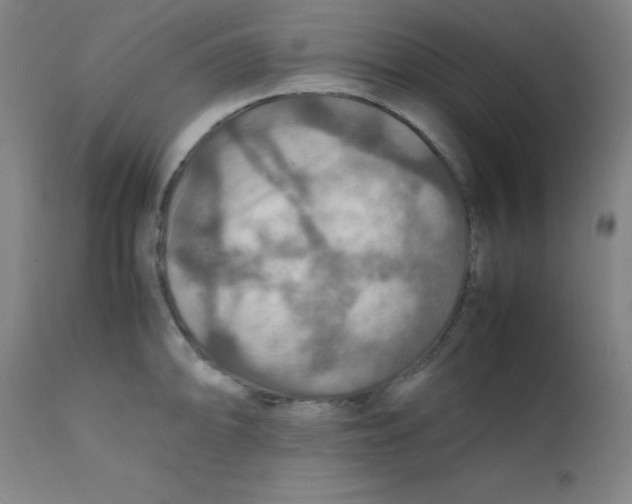 X0000112151094200909041057