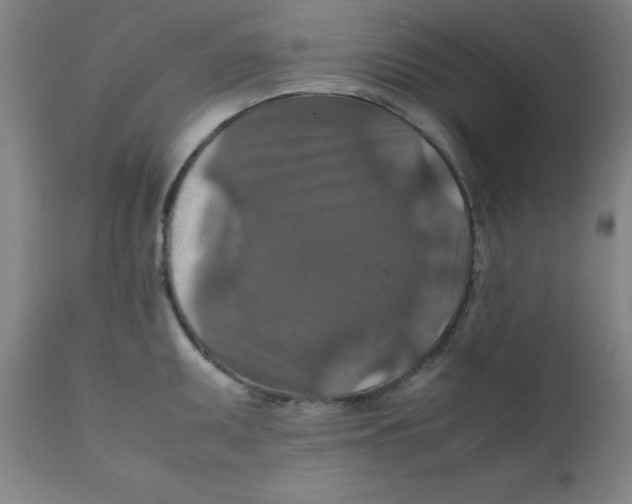 X0000112151095200909041057