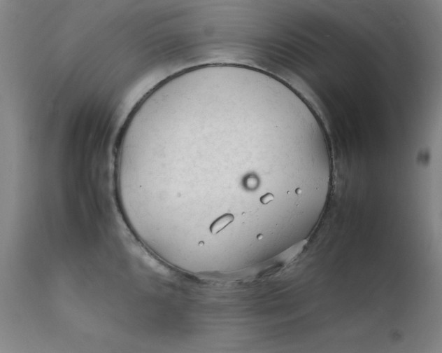 X0000112151096200909041057