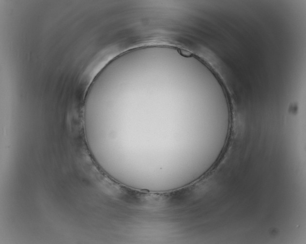 X0000112151097200909041057