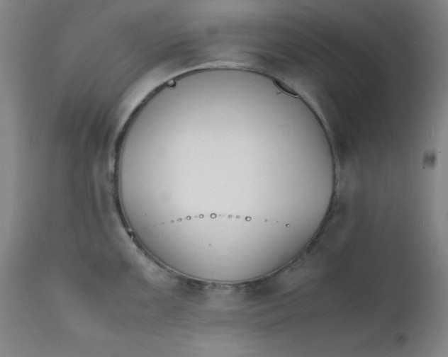 X0000112151099200909041057