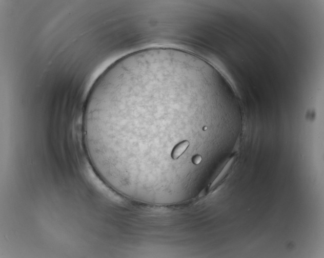 X0000112151100200909041057