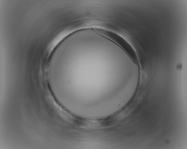 X0000112151101200909041057