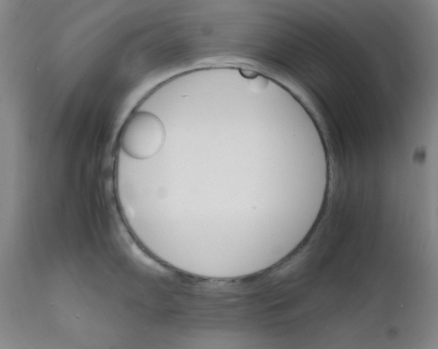 X0000112151102200909041057