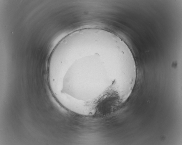 X0000112151103200909041057