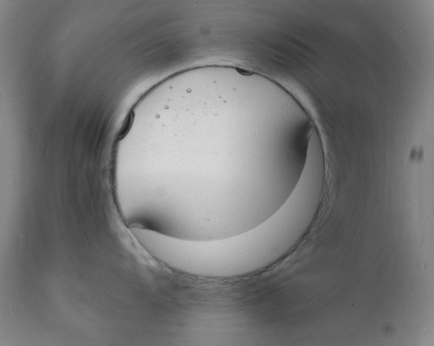 X0000112151104200909041057