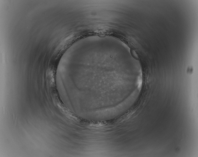 X0000112151106200909041056