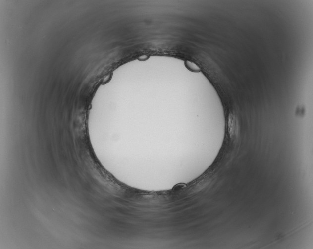 X0000112151107200909041056