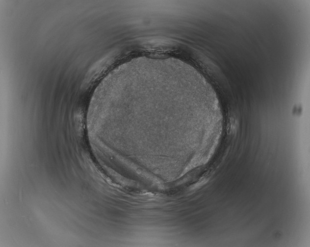 X0000112151108200909041056