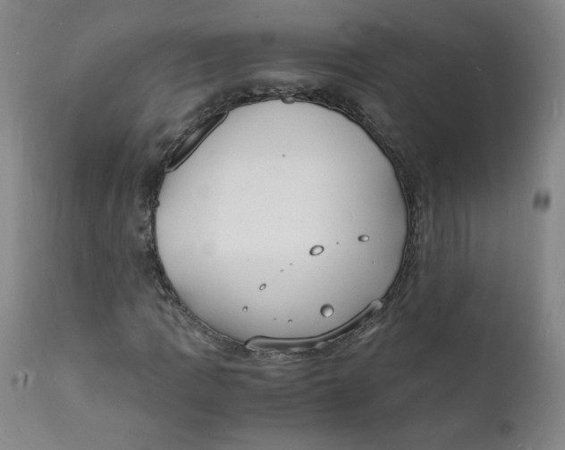 X0000112151109200909041056