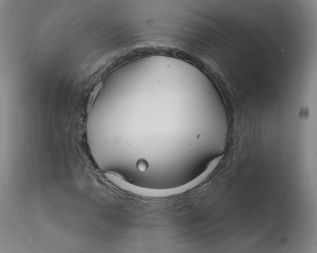 X0000112151110200909041056