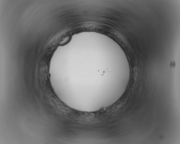 X0000112151111200909041057