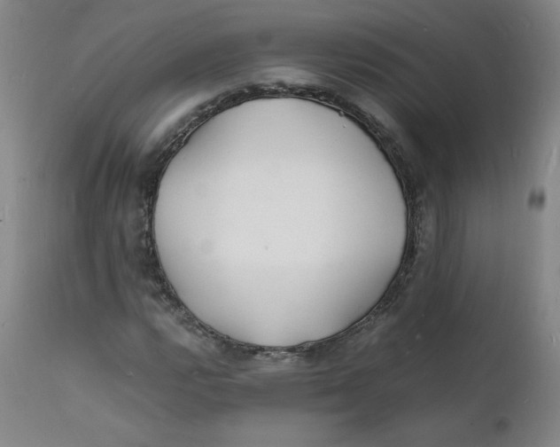 X0000112151112200909041057