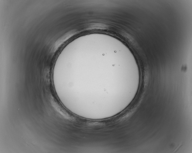 X0000112151113200909041057