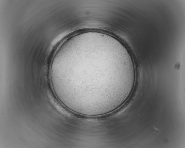 X0000112151114200909041057