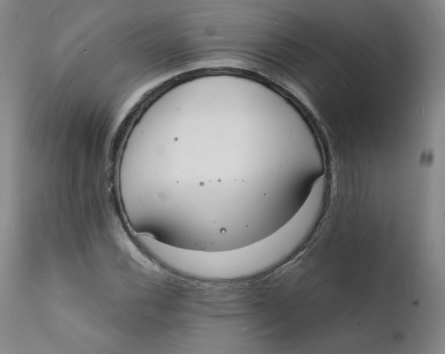 X0000112151116200909041057