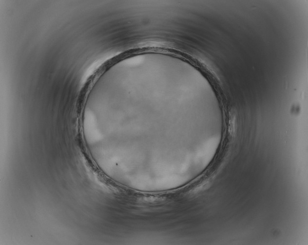 X0000112151117200909041057