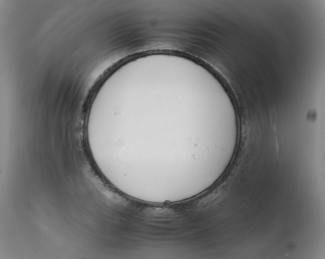 X0000112151119200909041057