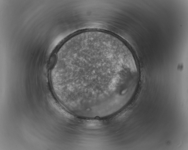 X0000112151120200909041057