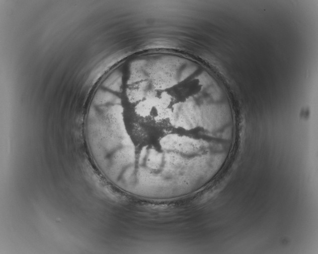 X0000112151121200909041057