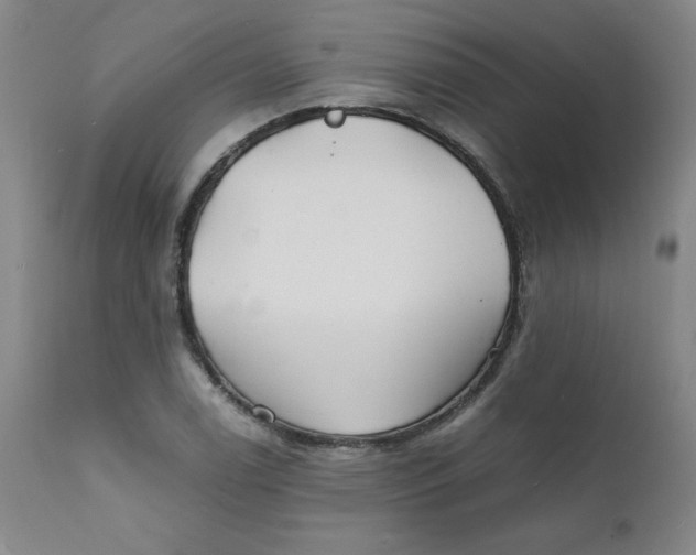 X0000112151122200909041057