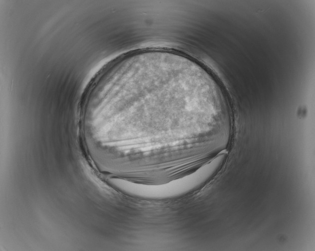 X0000112151124200909041057