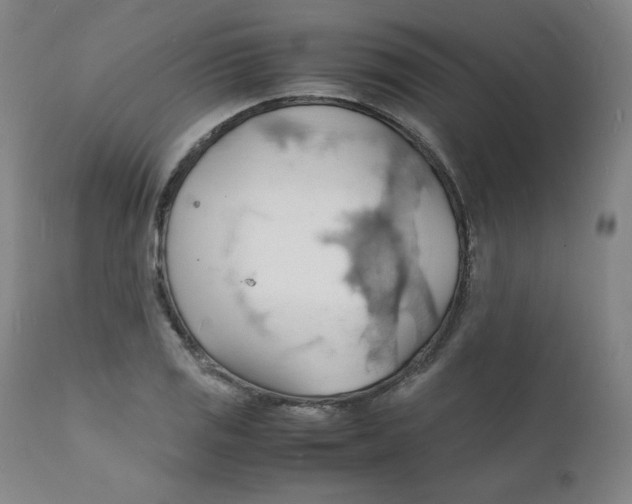 X0000112151125200909041057