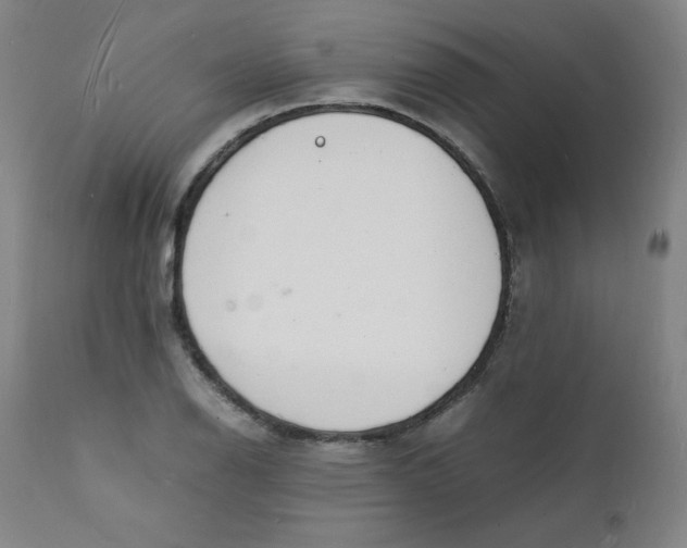 X0000112151126200909041057