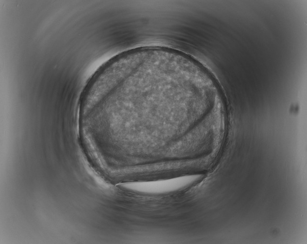 X0000112151127200909041057